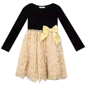 Rare Edition Toddler Girl Velvet Embroidered Dress